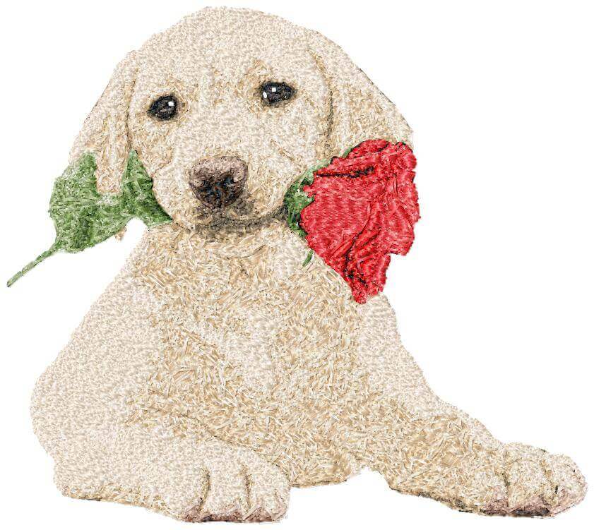 Labrador Puppy with Rose (2) - Embroidery Design - 3 sizesEmbroidery Designs