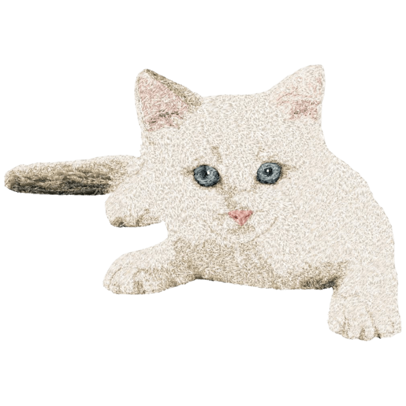 White Chinchilla Kitten (Photo-Stitch) - Embroidery Design - 3 sizesEmbroidery Designs