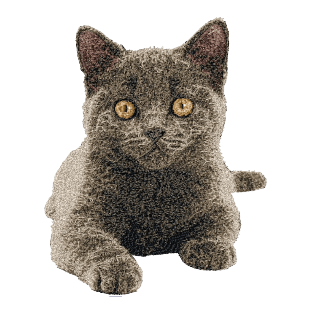 Burmese Kitten - Embroidery Design - 3 SizesEmbroidery Designs