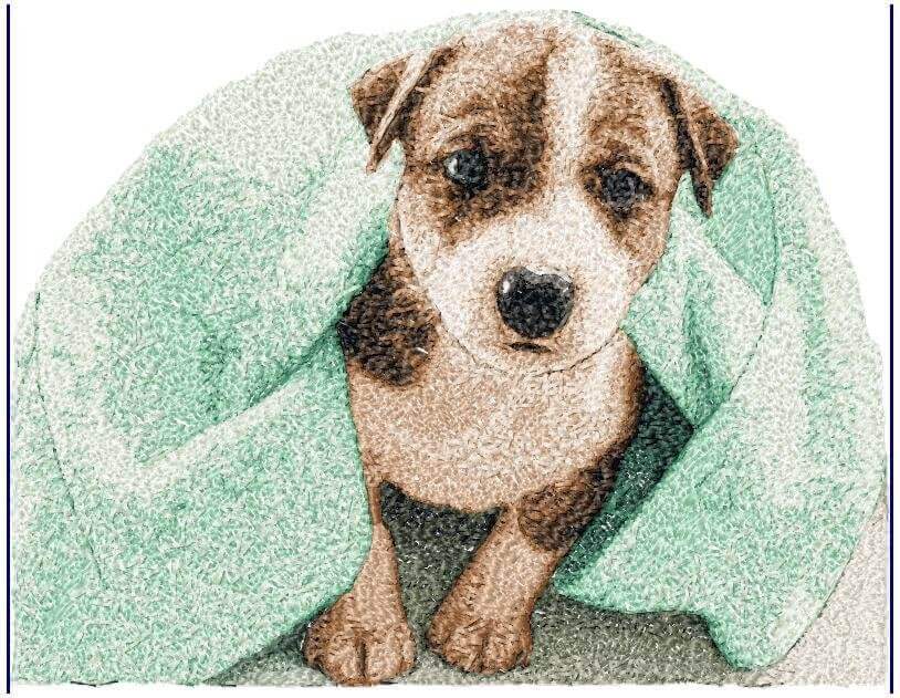 Puppy in Blanket - Photo Stitch Embroidery Design - 3 SizesEmbroidery Designs