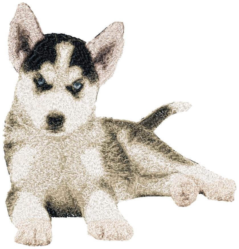 Husky Pup - Photo Stitch Embroidery Design - 3 SizesEmbroidery Designs